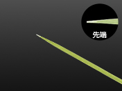 魚串　31cm　50本入